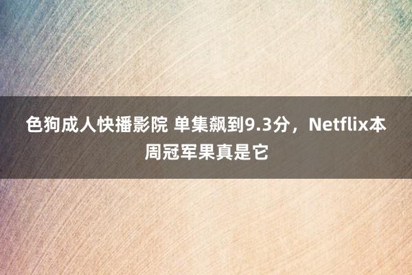 色狗成人快播影院 单集飙到9.3分，Netflix本周冠军果真是它