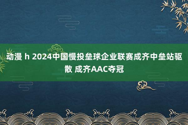 动漫 h 2024中国慢投垒球企业联赛成齐中垒站驱散 成齐AAC夺冠