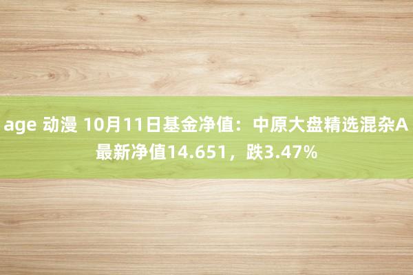 age 动漫 10月11日基金净值：中原大盘精选混杂A最新净值14.651，跌3.47%