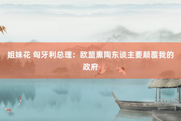 姐妹花 匈牙利总理：欧盟熏陶东谈主要颠覆我的政府