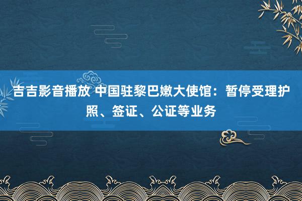 吉吉影音播放 中国驻黎巴嫩大使馆：暂停受理护照、签证、公证等业务