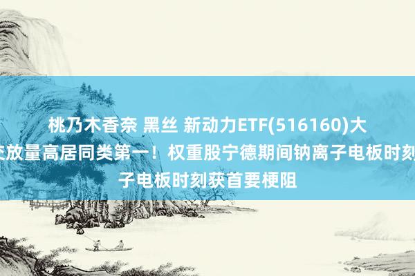 桃乃木香奈 黑丝 新动力ETF(516160)大涨7%，成交放量高居同类第一！权重股宁德期间钠离子电板时刻获首要梗阻