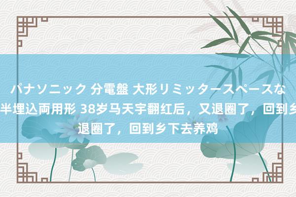 パナソニック 分電盤 大形リミッタースペースなし 露出・半埋込両用形 38岁马天宇翻红后，又退圈了，回到乡下去养鸡