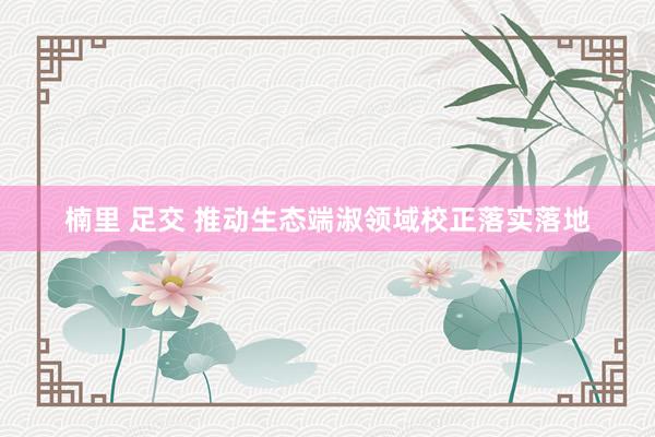 楠里 足交 推动生态端淑领域校正落实落地