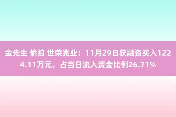 金先生 偷拍 世荣兆业：11月29日获融资买入1224.11万元，占当日流入资金比例26.71%