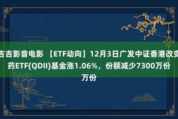 吉吉影音电影 【ETF动向】12月3日广发中证香港改变药ETF(QDII)基金涨1.06%,份额减少7300万份