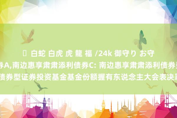 ✨白蛇 白虎 虎 龍 福 /24k 御守り お守り 南边惠享肃肃添利债券A,南边惠享肃肃添利债券C: 南边惠享肃肃添利债券型证券投资基金基金份额握有东说念主大会表决恶果暨决议顺利的公告