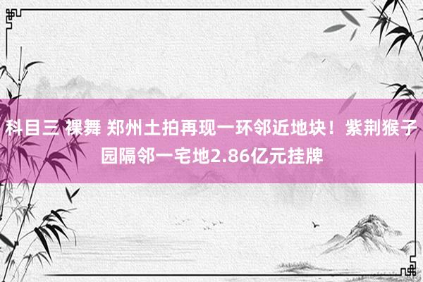 科目三 裸舞 郑州土拍再现一环邻近地块！紫荆猴子园隔邻一宅地2.86亿元挂牌