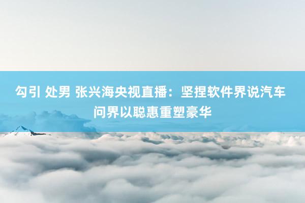 勾引 处男 张兴海央视直播：坚捏软件界说汽车 问界以聪惠重塑豪华