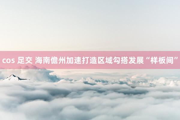 cos 足交 海南儋州加速打造区域勾搭发展“样板间”