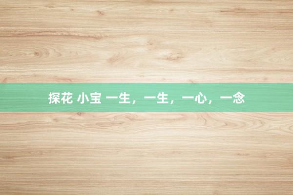 探花 小宝 一生，一生，一心，一念