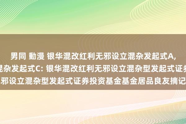 男同 動漫 银华混改红利无邪设立混杂发起式A,银华混改红利无邪设立混杂发起式C: 银华混改红利无邪设立混杂型发起式证券投资基金基金居品良友摘记更新