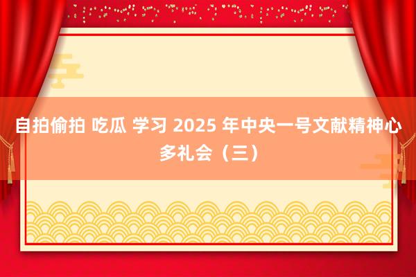 自拍偷拍 吃瓜 学习 2025 年中央一号文献精神心多礼会（三）