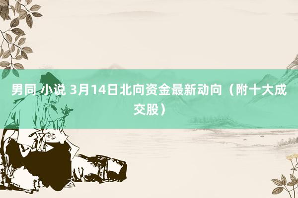 男同 小说 3月14日北向资金最新动向（附十大成交股）