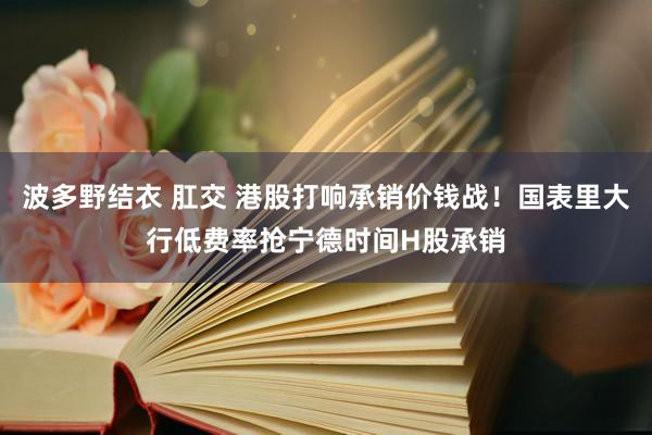 波多野结衣 肛交 港股打响承销价钱战！国表里大行低费率抢宁德时间H股承销