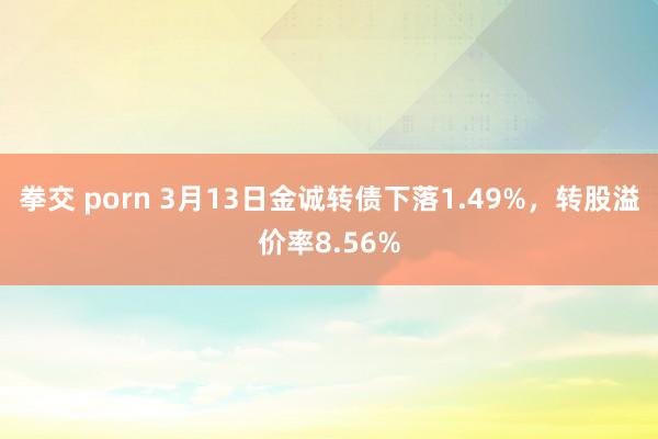 拳交 porn 3月13日金诚转债下落1.49%，转股溢价率8.56%