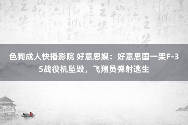 色狗成人快播影院 好意思媒：好意思国一架F-35战役机坠毁，飞翔员弹射逃生