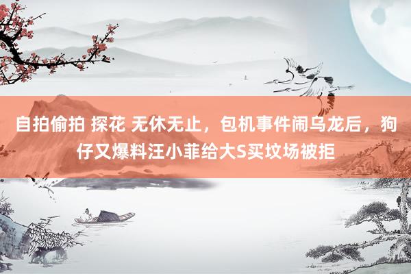 自拍偷拍 探花 无休无止，包机事件闹乌龙后，狗仔又爆料汪小菲给大S买坟场被拒