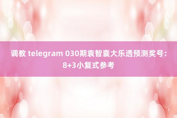 调教 telegram 030期袁智囊大乐透预测奖号：8+3小复式参考