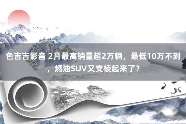 色吉吉影音 2月最高销量超2万辆，最低10万不到，燃油SUV又支棱起来了？