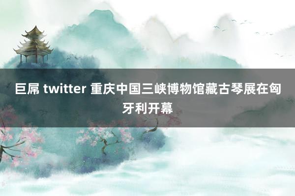 巨屌 twitter 重庆中国三峡博物馆藏古琴展在匈牙利开幕