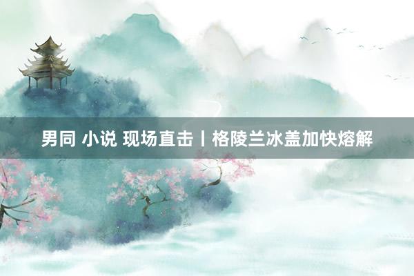 男同 小说 现场直击丨格陵兰冰盖加快熔解