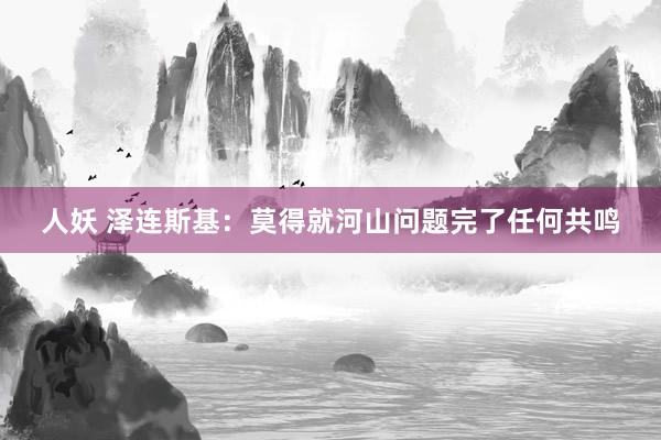 人妖 泽连斯基：莫得就河山问题完了任何共鸣