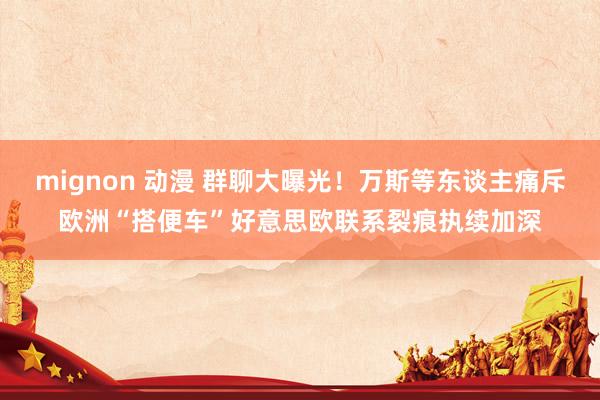 mignon 动漫 群聊大曝光！万斯等东谈主痛斥欧洲“搭便车”好意思欧联系裂痕执续加深