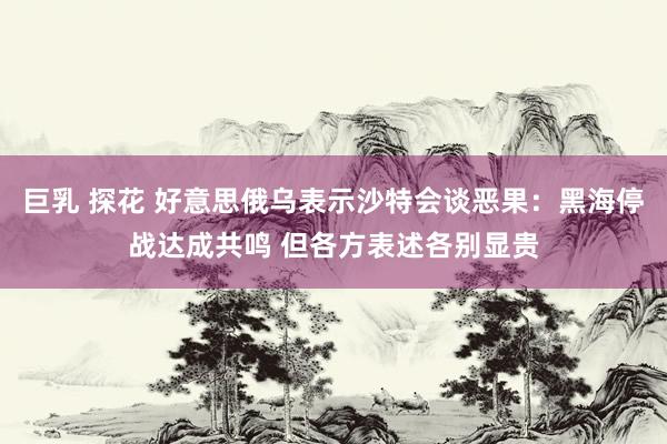 巨乳 探花 好意思俄乌表示沙特会谈恶果：黑海停战达成共鸣 但各方表述各别显贵
