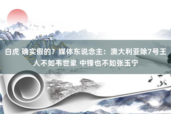 白虎 确实假的？媒体东说念主：澳大利亚除7号王人不如韦世豪 中锋也不如张玉宁
