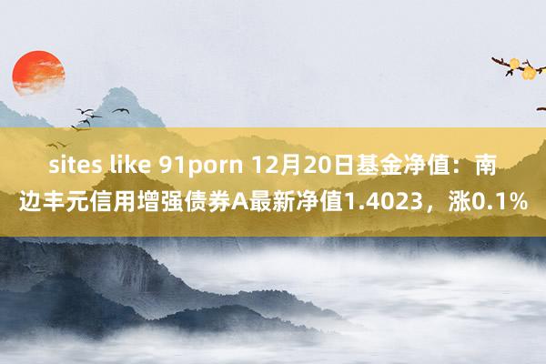 sites like 91porn 12月20日基金净值：南边丰元信用增强债券A最新净值1.4023，涨0.1%