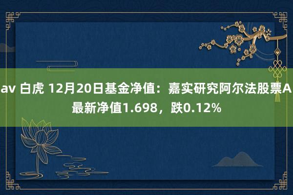 av 白虎 12月20日基金净值：嘉实研究阿尔法股票A最新净值1.698，跌0.12%