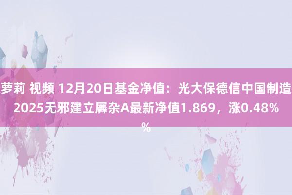萝莉 视频 12月20日基金净值：光大保德信中国制造2025无邪建立羼杂A最新净值1.869，涨0.48%
