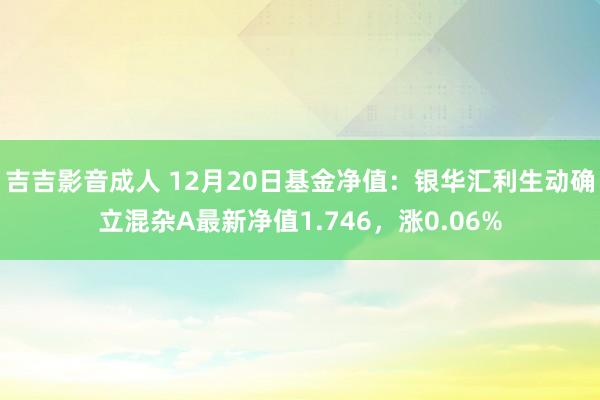 吉吉影音成人 12月20日基金净值：银华汇利生动确立混杂A最新净值1.746，涨0.06%