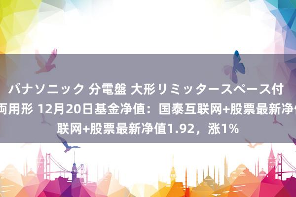 パナソニック 分電盤 大形リミッタースペース付 露出・半埋込両用形 12月20日基金净值：国泰互联网+股票最新净值1.92，涨1%