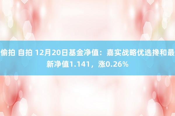偷拍 自拍 12月20日基金净值：嘉实战略优选搀和最新净值1.141，涨0.26%