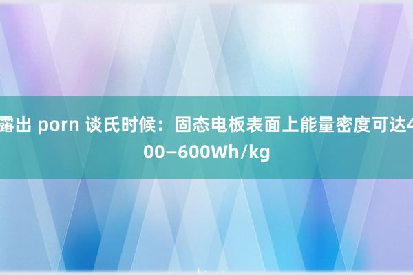 露出 porn 谈氏时候：固态电板表面上能量密度可达400—600Wh/kg