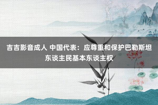 吉吉影音成人 中国代表：应尊重和保护巴勒斯坦东谈主民基本东谈主权