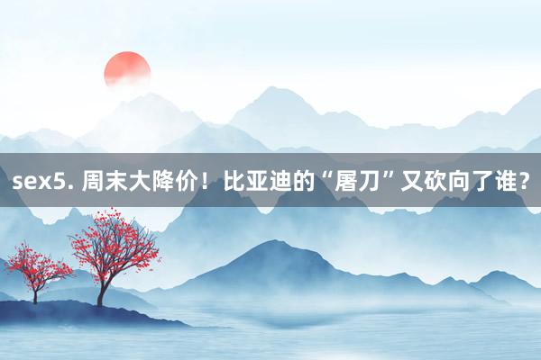 sex5. 周末大降价！比亚迪的“屠刀”又砍向了谁？