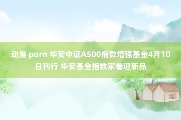 动漫 porn 华安中证A500指数增强基金4月10日刊行 华安基金指数家眷迎新品