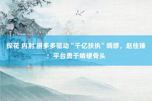 探花 内射 拼多多驱动“千亿扶执”绸缪，赵佳臻：平台勇于啃硬骨头