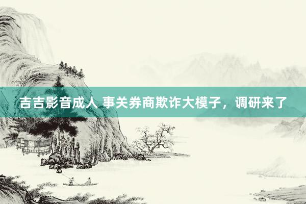 吉吉影音成人 事关券商欺诈大模子，调研来了