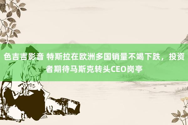 色吉吉影音 特斯拉在欧洲多国销量不竭下跌，投资者期待马斯克转头CEO岗亭