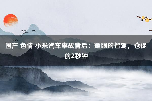 国产 色情 小米汽车事故背后：耀眼的智驾，仓促的2秒钟