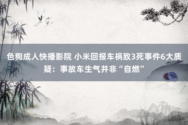 色狗成人快播影院 小米回报车祸致3死事件6大质疑：事故车生气并非“自燃”