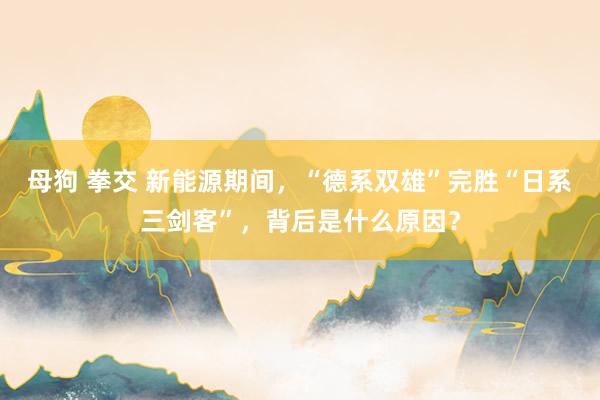 母狗 拳交 新能源期间，“德系双雄”完胜“日系三剑客”，背后是什么原因？