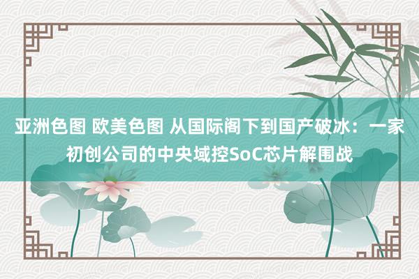 亚洲色图 欧美色图 从国际阁下到国产破冰：一家初创公司的中央域控SoC芯片解围战
