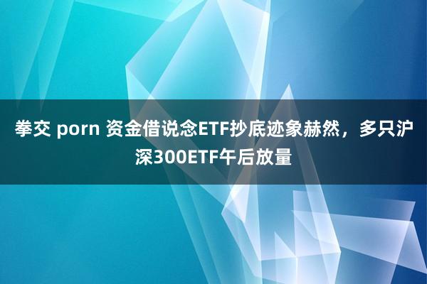 拳交 porn 资金借说念ETF抄底迹象赫然，多只沪深300ETF午后放量