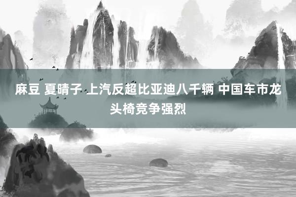 麻豆 夏晴子 上汽反超比亚迪八千辆 中国车市龙头椅竞争强烈