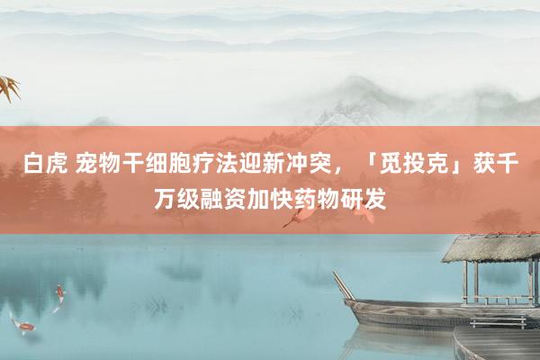 白虎 宠物干细胞疗法迎新冲突，「觅投克」获千万级融资加快药物研发